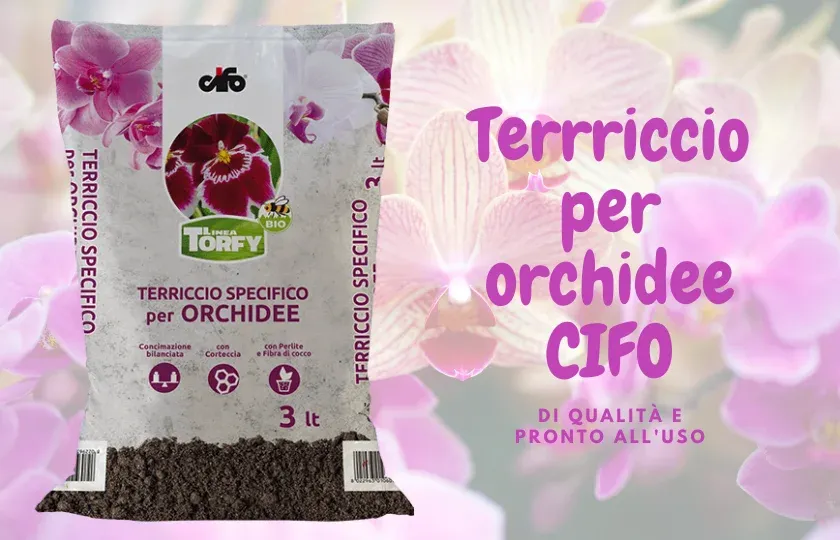 Terriccio Orchidee CIFO